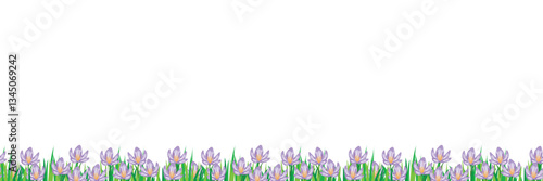 Elegant crocus flower border pattern, leaving ample space for personalised content