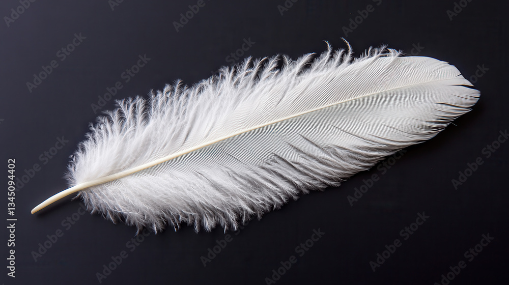 Obraz premium A white feather gently curled at the edges, lying alone on a pitch-black surface. The intricate details of each fiber are accentuated by dramatic lighting, creating a stunning monochromatic contrast