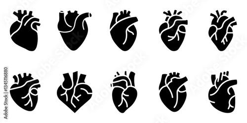 Anatomical Heart Illustration, Human Heart Medical Drawing, Cardiovascular System, Realistic Heart, Blood Circulation, Medical Science, Health Diagram, Medical Vector, Scientific Illustration