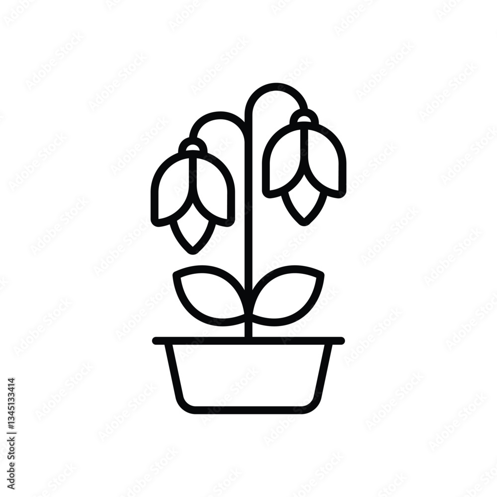Harebell Vector icon Harebell Vector icon