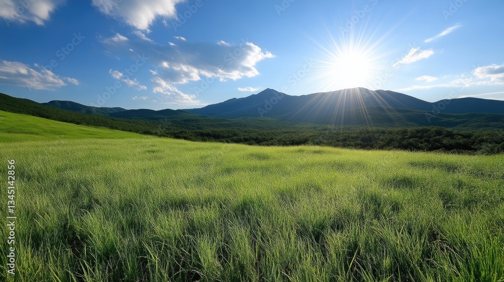 Fototapeta premium Lush green meadow, mountains, blue sky