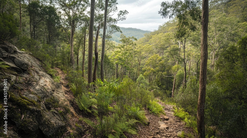 Fototapeta premium Tranquil Dirt Path Through Lush Green Forest Amidst Rocky Terrain under Cloudy Sky