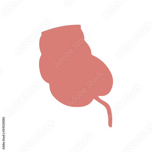 appendix colored icon