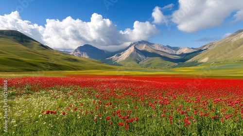 Castelluccio di Norcia's Blooming Poppies and Majestic Mountains