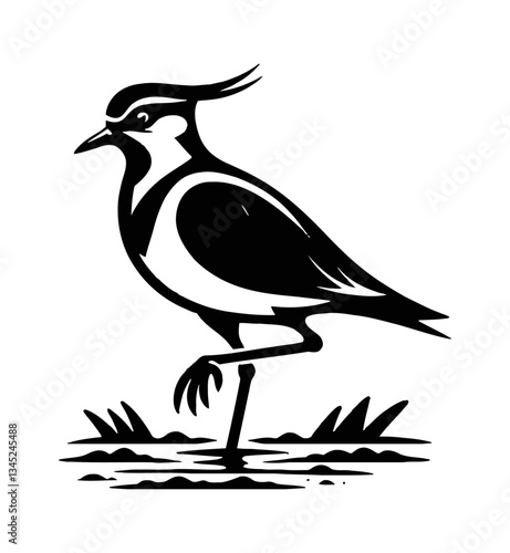 Black and white vector illustration of a northern lapwing standing on one leg.