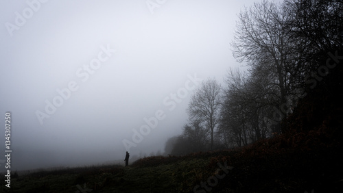 A eerie lost solitary figure, standing on the edge of a spooky forest on an eerie foggy winters day