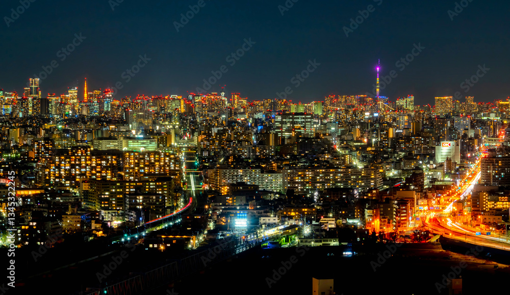 Fototapeta premium 東京夜景・大田区方面から望む