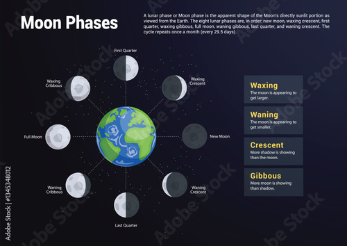 Moon phases chart clipart. Lunar cycle movement in different phases like crescent, full moon, new moon, waxing crescent and last quarter diagram for high school educational learning vector 