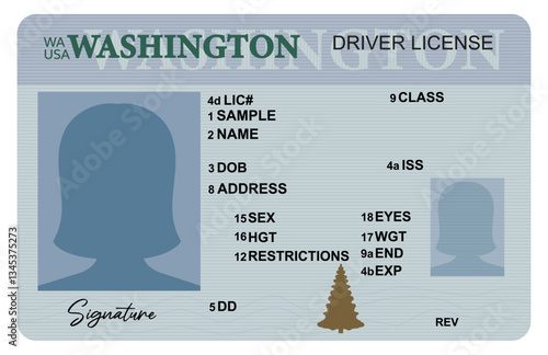 Washington driver's license with female silhouette isolated on white background. Person driver license.