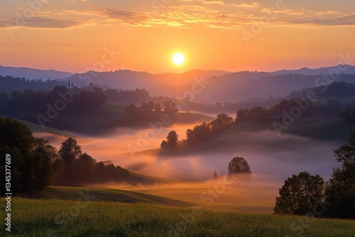 Wallpaper Mural A beautiful sunrise illuminates a foggy mountain landscape with trees Torontodigital.ca