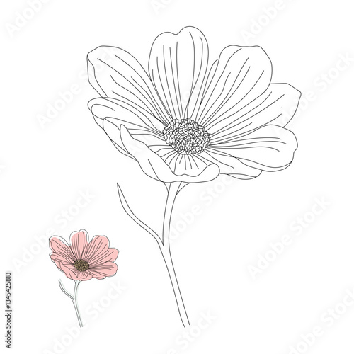 Daisy flower in minimal style line art design illustration