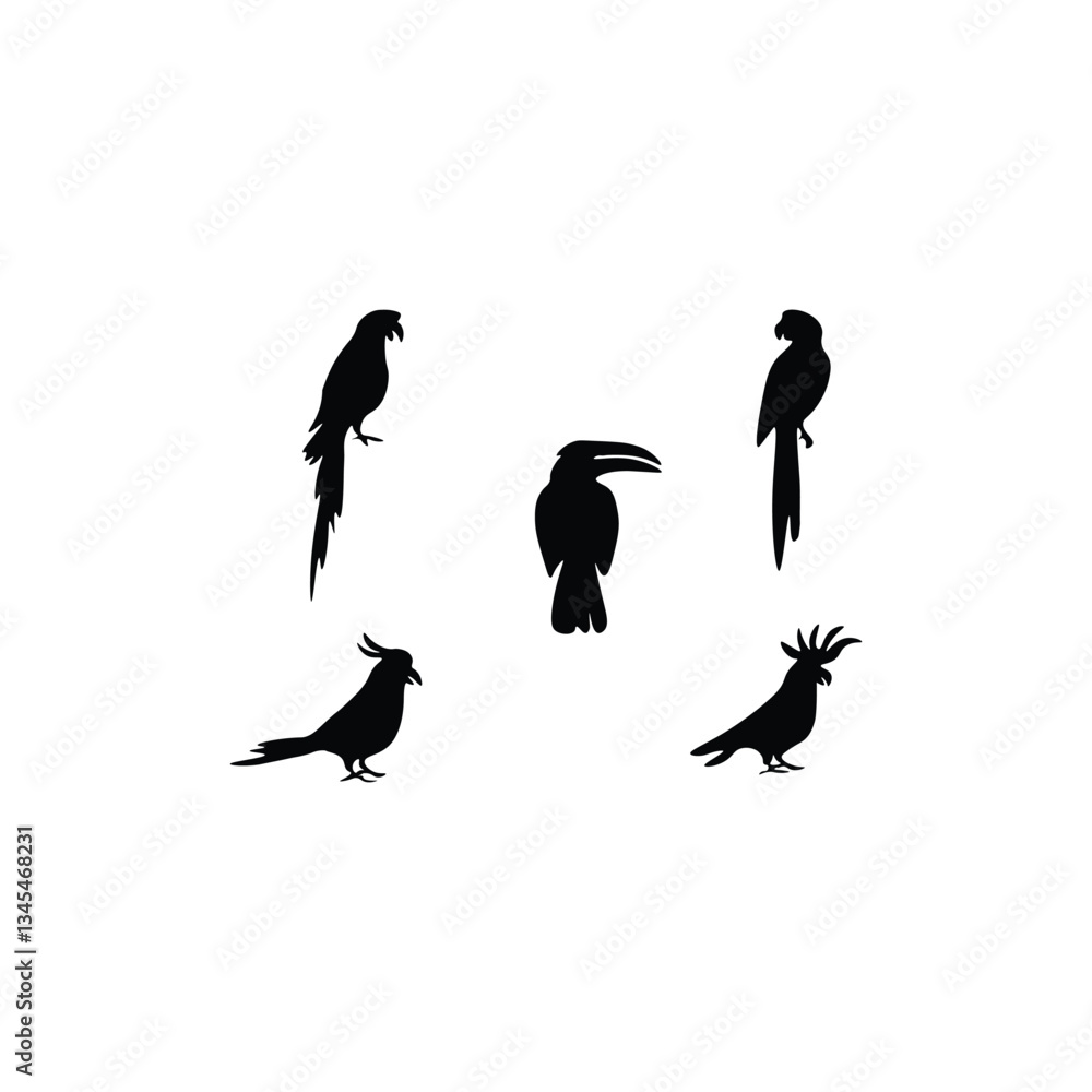 Obraz premium Black Bird silhouette