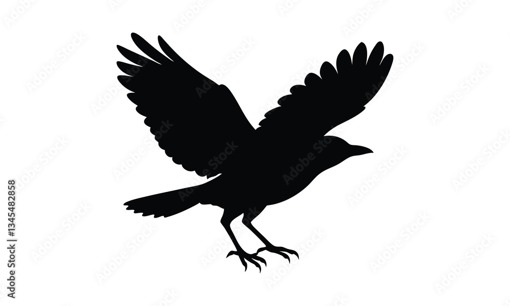 Obraz premium Crow Taking Off Black Silhouette
