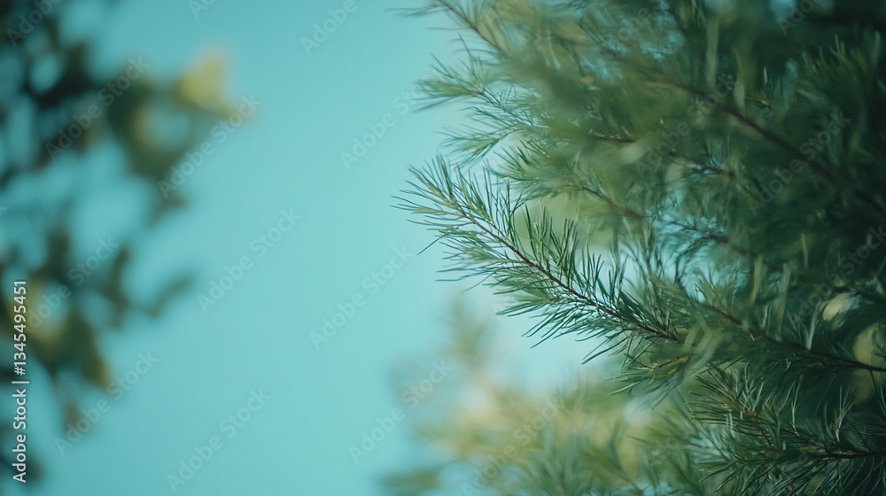Obraz premium Green foliage, close-up, outdoor, blue sky, nature background, website design