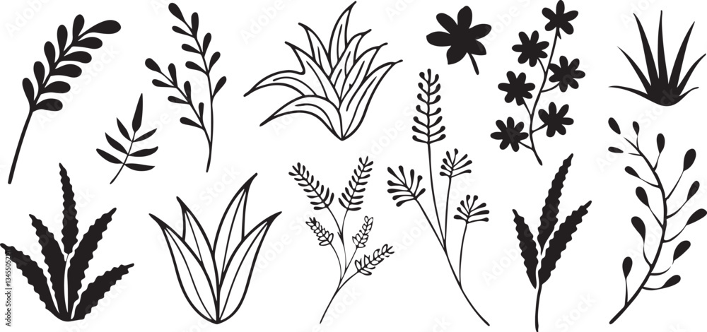 Fototapeta premium Diverse silhouettes of plants and grasses in black.