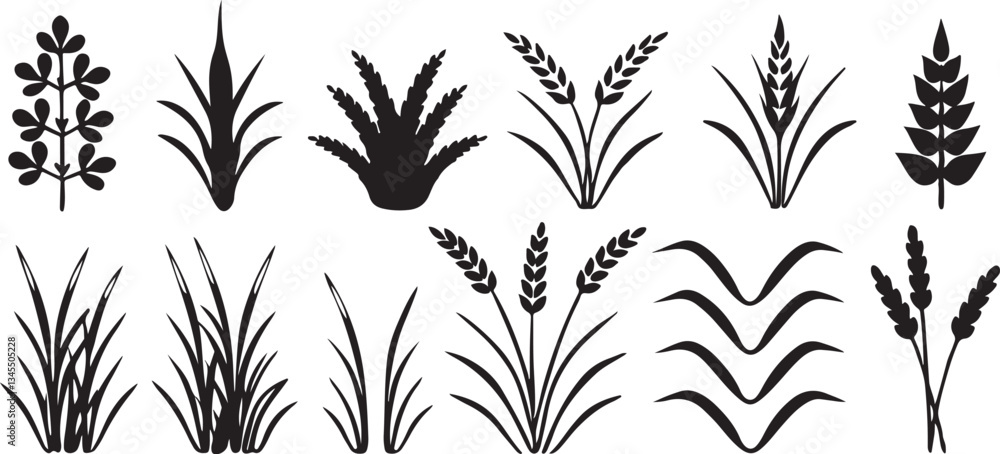 Diverse silhouettes of plants and grasses in black. Diverse silhouettes of plants and grasses in black.