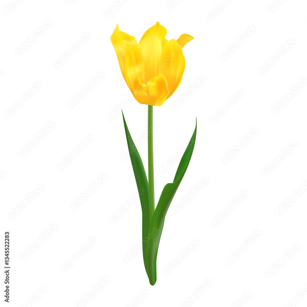 Isolated realistic yellow tulip flower. Symbol of love and springtime. Spring blossom vector illustration for print materials, web banners, and social media graphics. Isolated realistic yellow tulip flower. Symbol of love and springtime. Spring blossom vector illustration for print materials, web banners, and social media graphics.