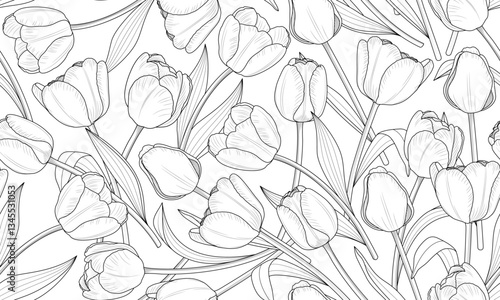 Seamless Pattern Floral Tulip Outline. Flower Botanical Hand drawn Background. Vector illustration.