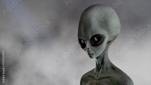Alien face