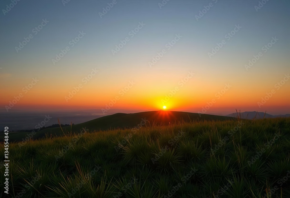 Fototapeta premium Sunset over grassy hill, soft orange to green gradient, wild, organic
