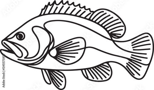 Grouper Fish Line Drawing Tutorial for Beginners