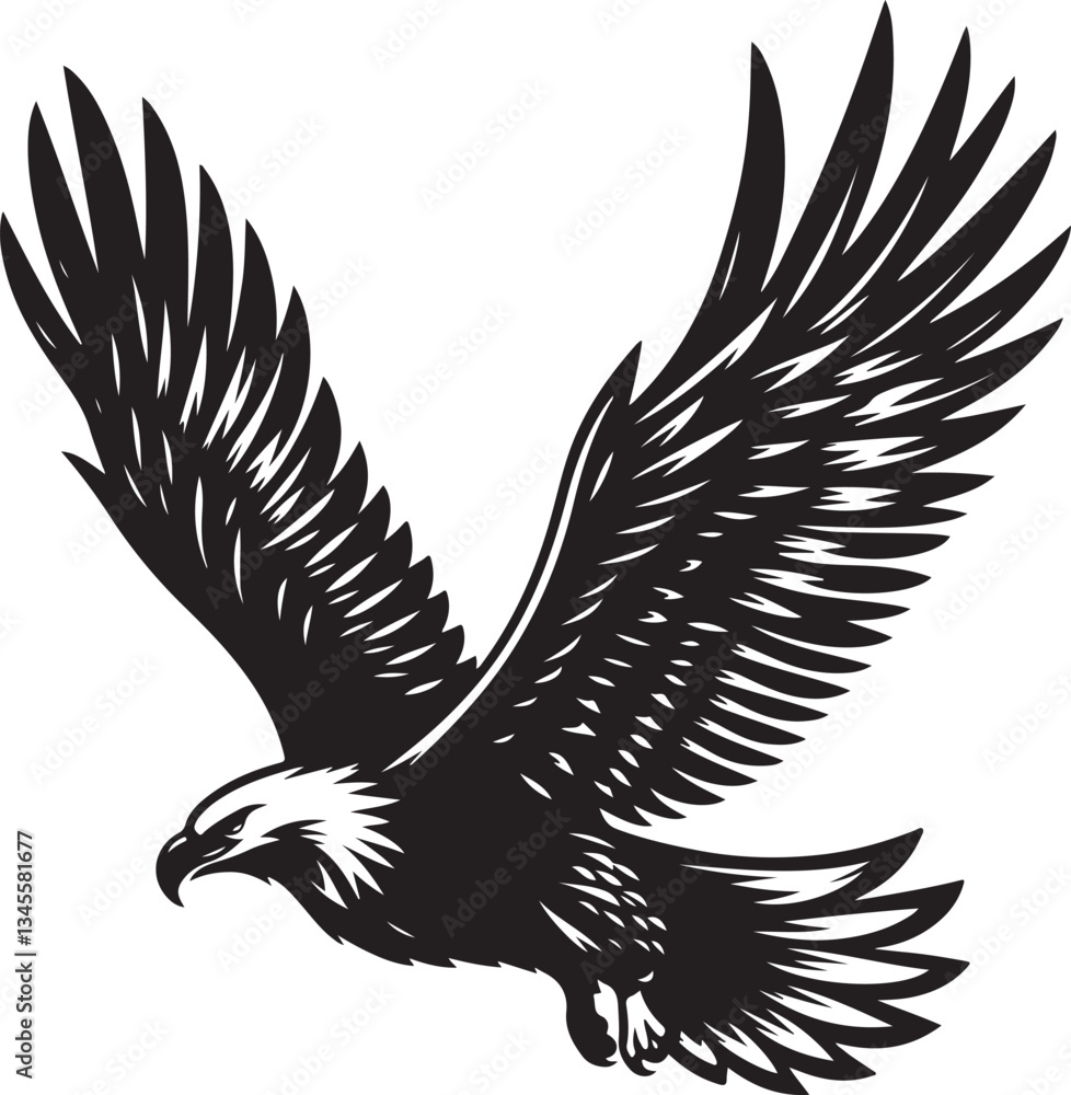 Fototapeta premium Majestic Soaring Eagle - Black and White Vector Illustration