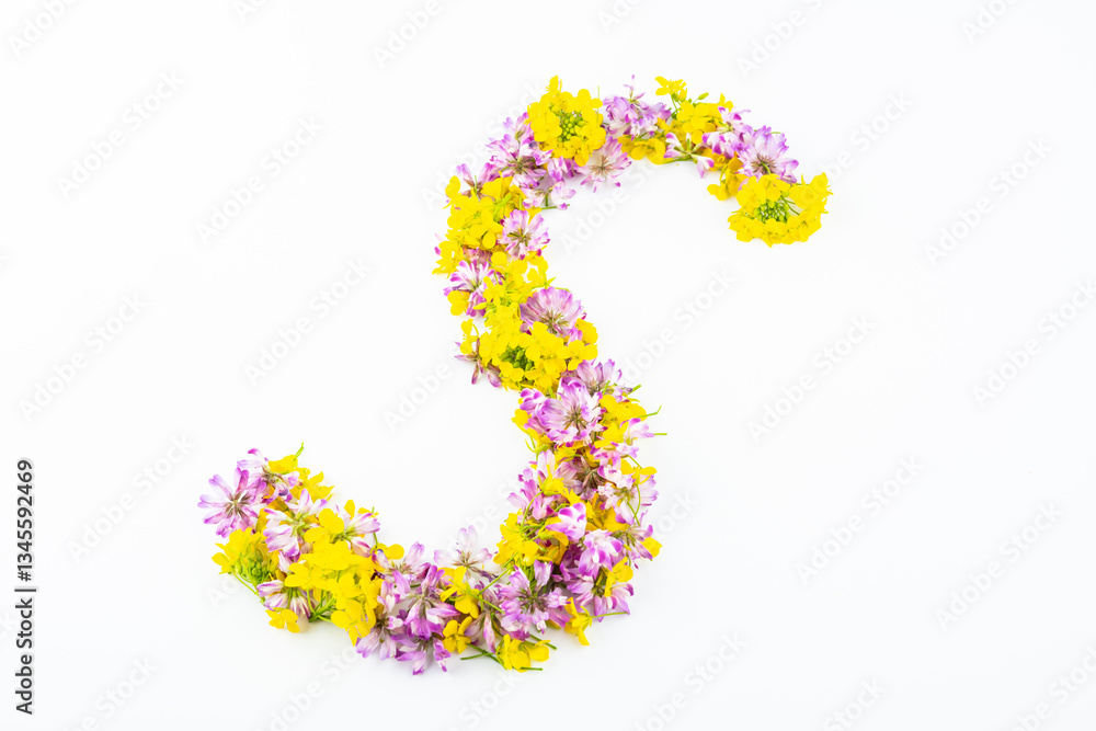 Letter S made of flowers on a white background Letter S made of flowers on a white background