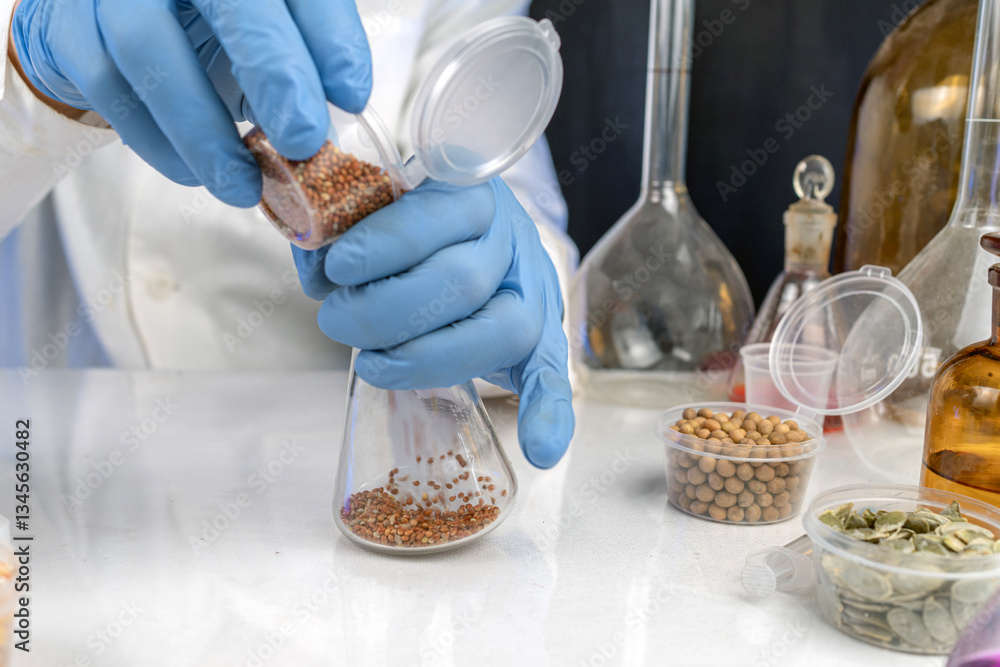Lab assistant at work. Analysis of cereal and legume seeds in the laboratory. Tests for GMO content, nitrates and seed germination. Lab assistant at work. Analysis of cereal and legume seeds in the laboratory. Tests for GMO content, nitrates and seed germination.
