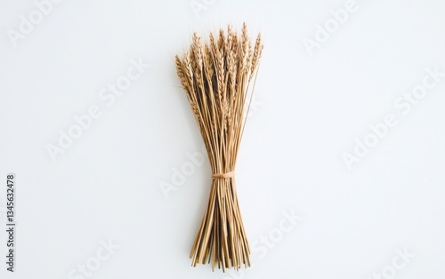 Dried wheat stalks bundled together on a plain background showcasing rustic decor elements