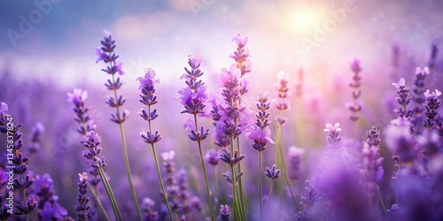 Lavender Dream: Double Exposure Floral Photography, Purple Haze, Botanical Art, Nature Backdrop