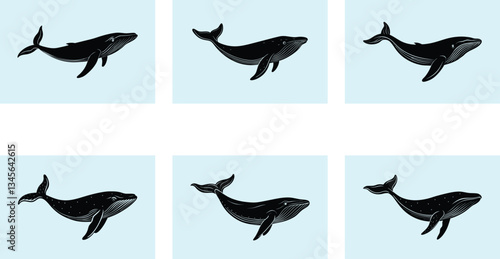 Humpback Whale Silhouette vector