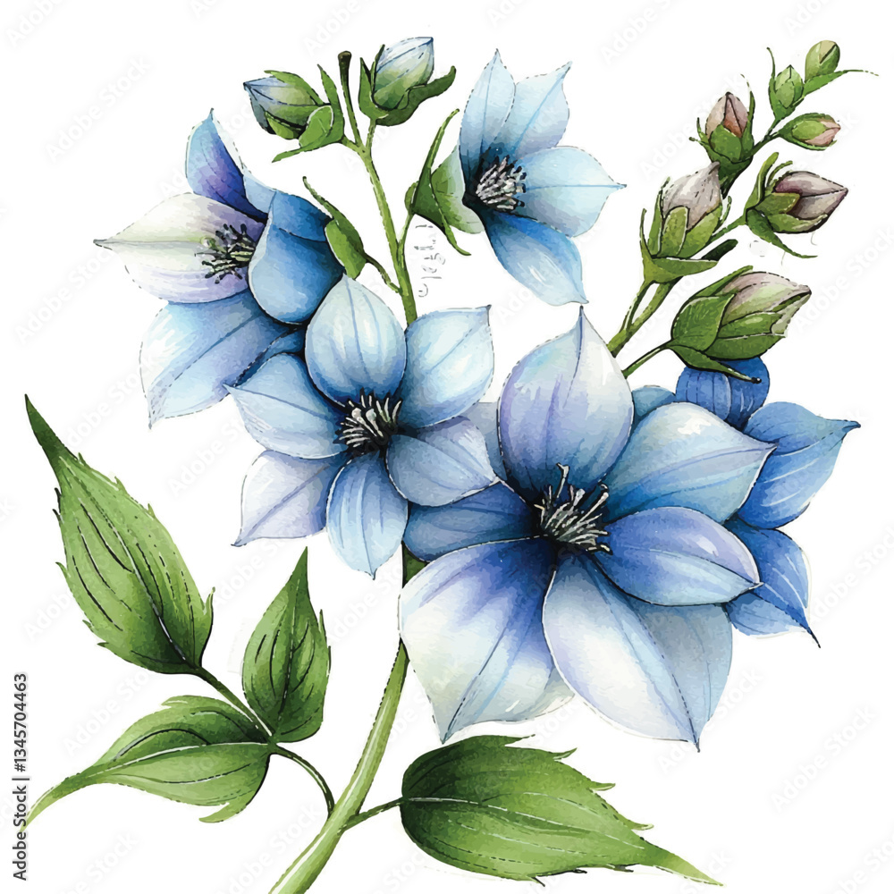 Fototapeta premium ]Watercolor Delphinium white background