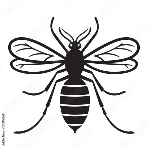 Malaria mosquito vector 