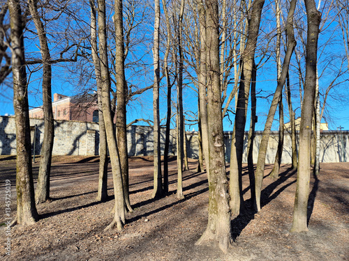 Photography Park