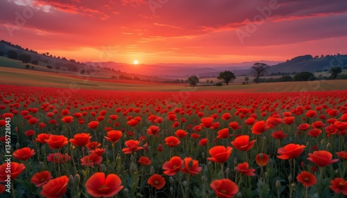 Red Poppy Field at Sunset with Rolling Hills