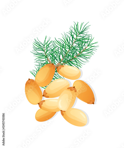 Pine nuts isolated on a white background