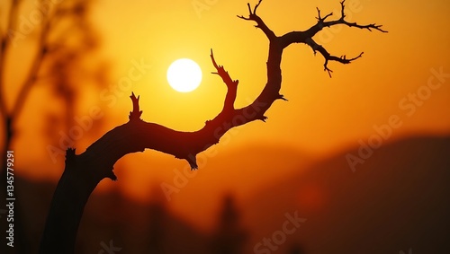 A barren tree silhouette against a fiery sunset, the sun glowing brightly