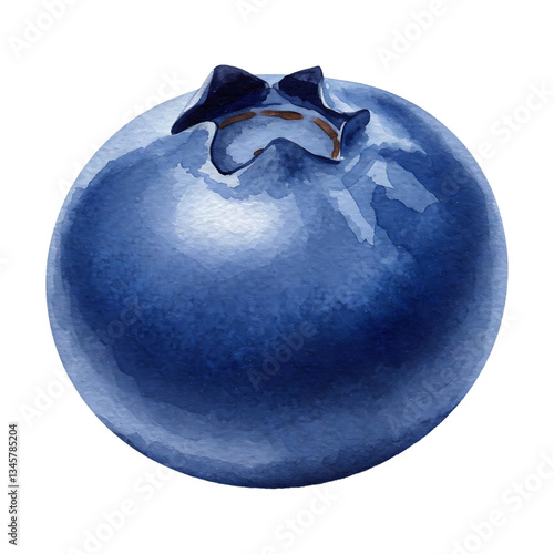 Single Blueberry Illustration in Transparent Background