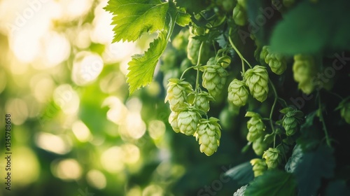 Hops grow lushly in a sustainable brewery setting, showcasing the beauty of locally sourced ingredients and the essence of craft brewing