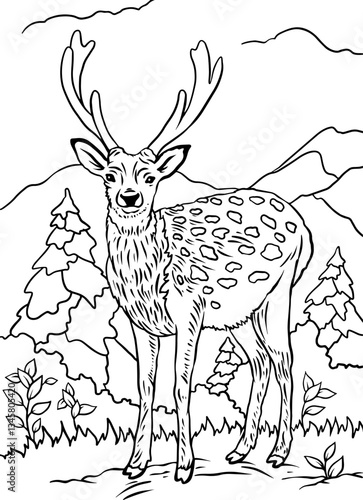 Vector black outline of a deer coloring book