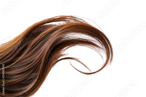 Brown hair isolated on transparent or white background, png