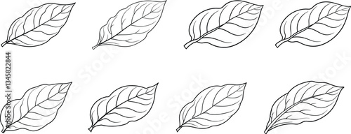 Free vector tree silhouette collection