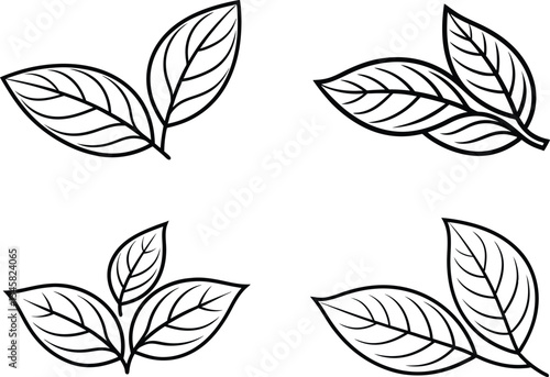Set of leaves vector illustration plant branches graphic elements for design.