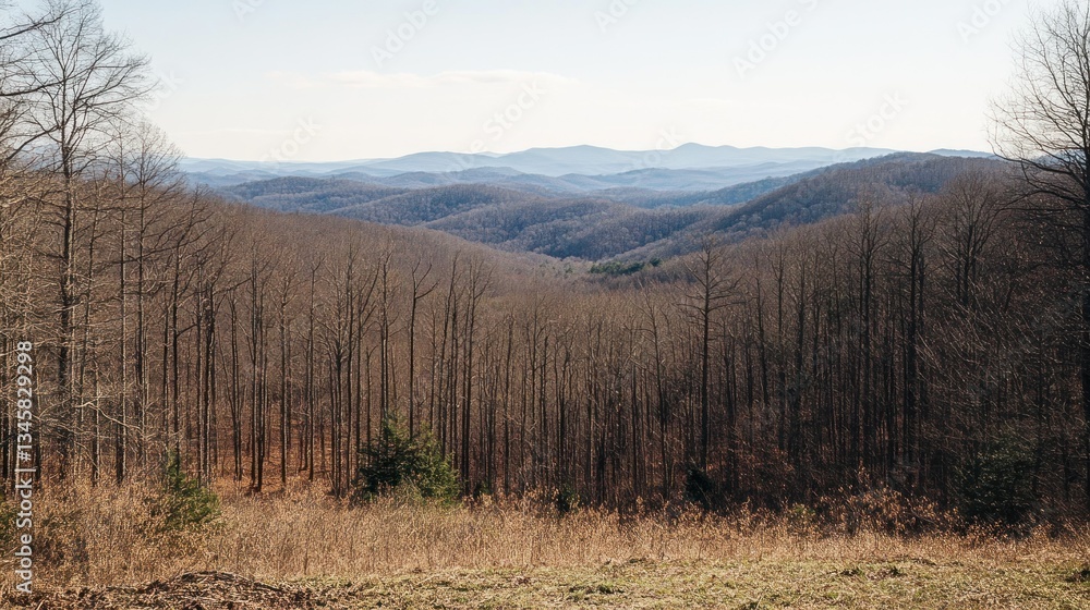 A scenic vista of forested hills with the distant mountains showing A scenic vista of forested hills with the distant mountains showing