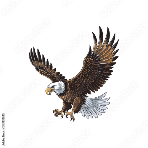 bald eagle isolated on white