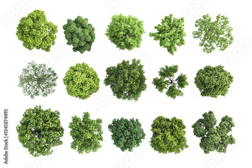 Collection of 3D Top view Green Trees isolated on transparent or white background, png