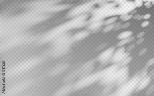 Abstract shadow overlay from foliage on a transparent background.
