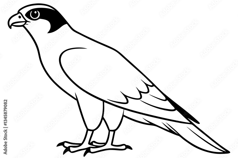 Fototapeta premium falcon line art silhouette vector illustration