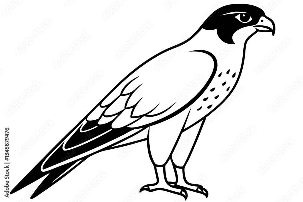 Fototapeta premium falcon line art silhouette vector illustration