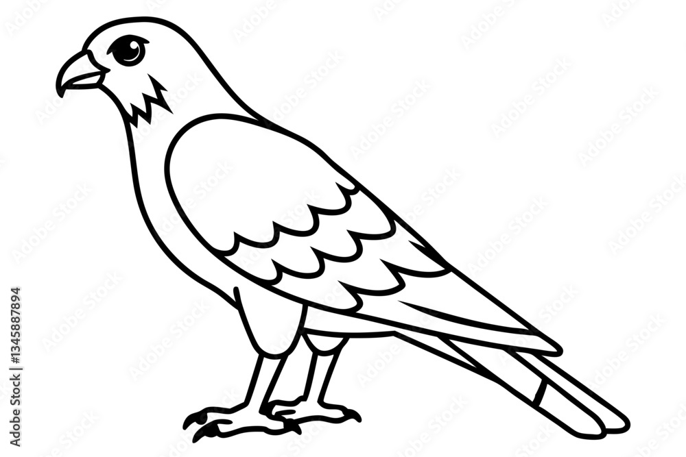 Fototapeta premium harrier line art silhouette vector illustration